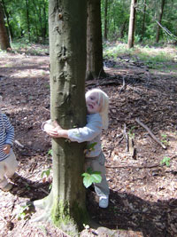 Kind umarmt Baum